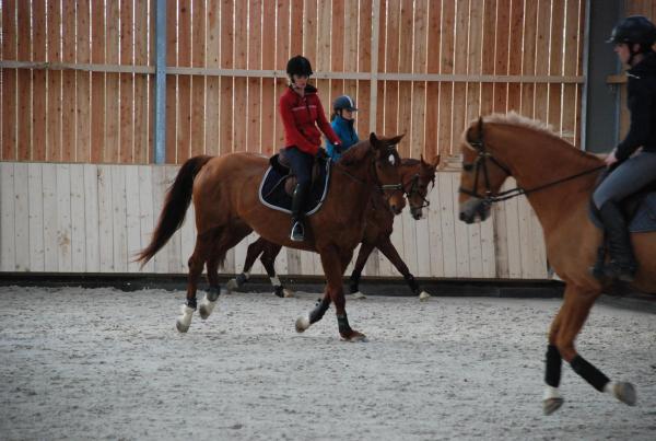 Stage dressage EquiMagnia - Rennes- Fougères