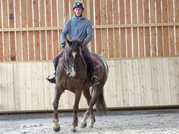 Stage dressage EquiMagnia - Rennes- Fougères