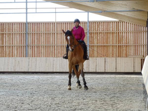 Stage dressage EquiMagnia - Rennes- Fougères