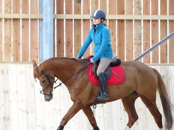 Stage dressage EquiMagnia - Rennes- Fougères