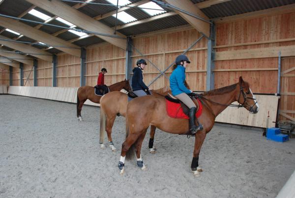 Stage dressage EquiMagnia - Rennes- Fougères