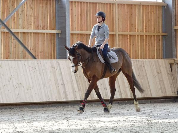 Stage dressage EquiMagnia - Rennes- Fougères