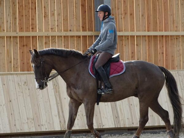 Stage dressage EquiMagnia - Rennes- Fougères